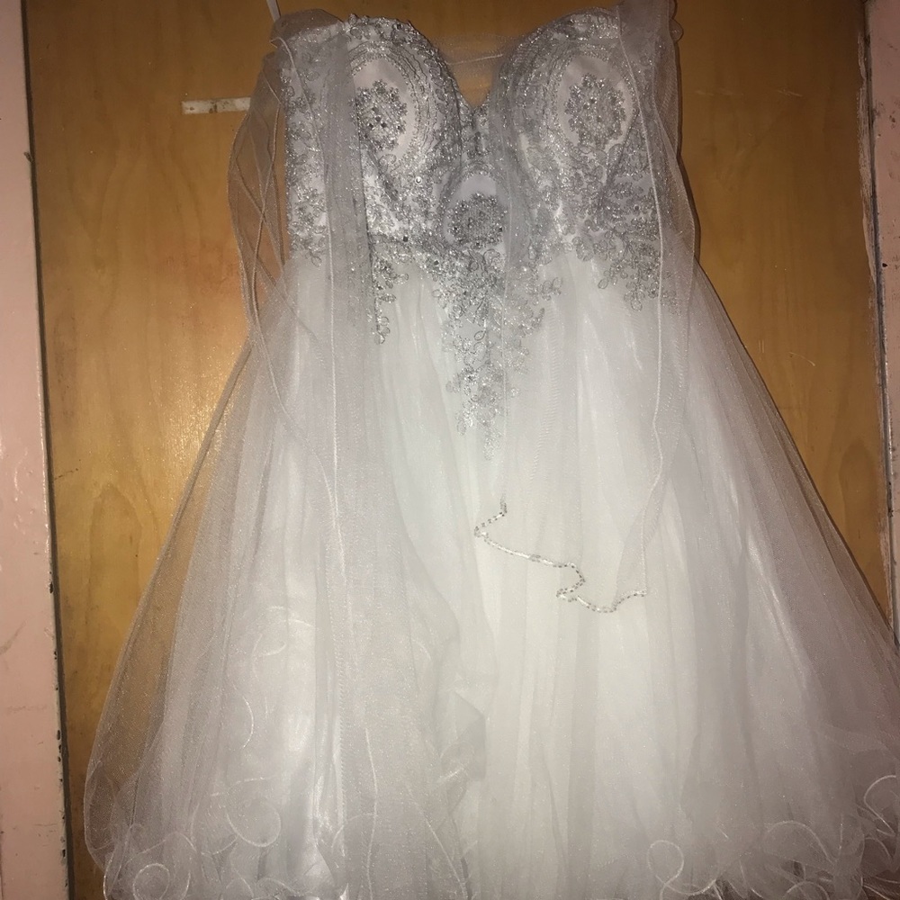 Prom Dress - Picture 2 of 3